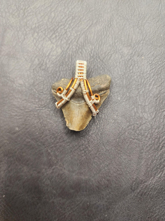 Wire Wrapped Shark Tooth - ST16 - Beaunique Boutique