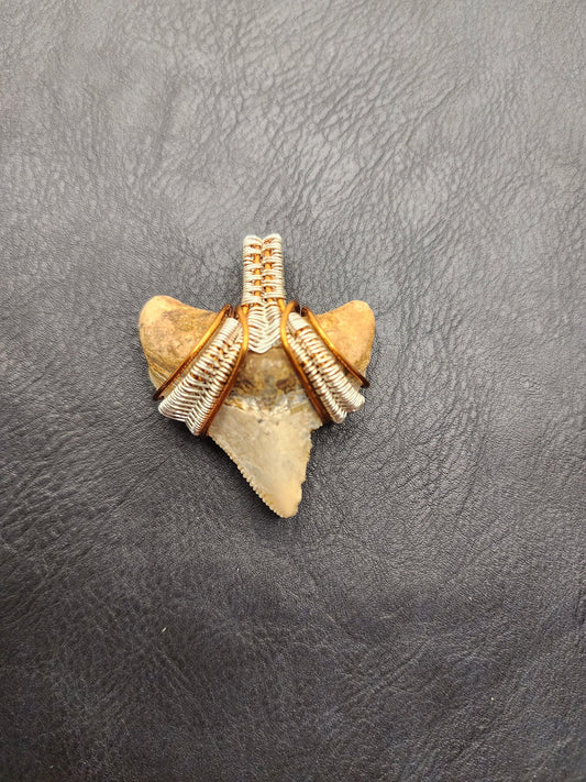 Wire Wrapped Shark Tooth - ST18 - Beaunique Boutique