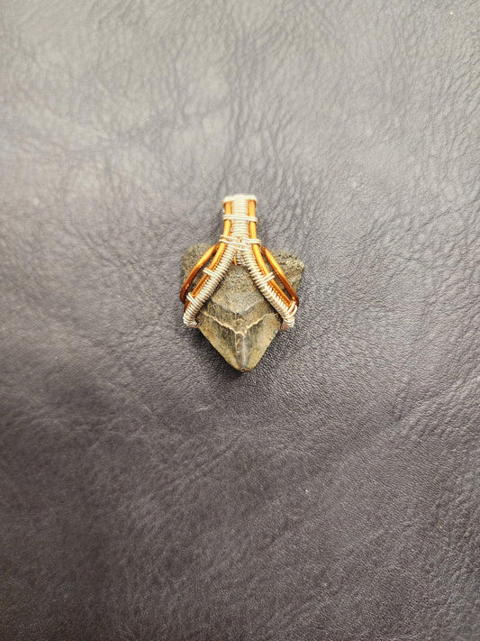 Wire Wrapped Shark Tooth - ST20 - Beaunique Boutique