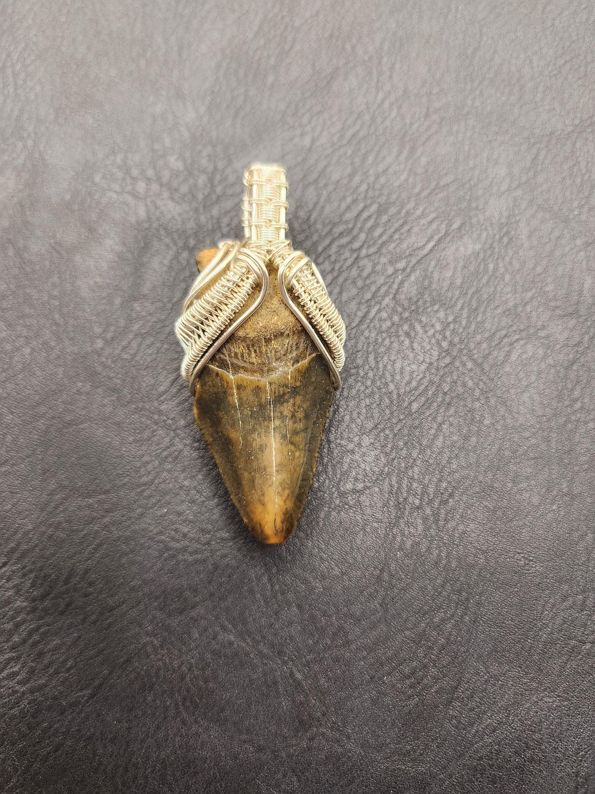 Wire Wrapped Shark Tooth - ST4 - Beaunique Boutique