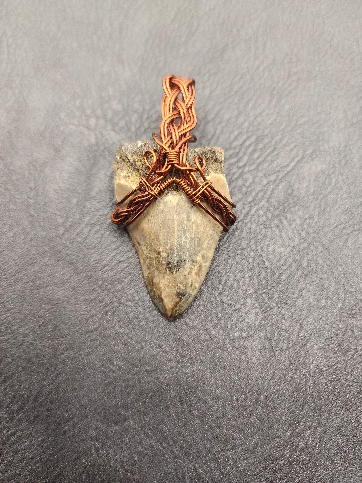 Wire Wrapped Shark Tooth - ST7 - Beaunique Boutique